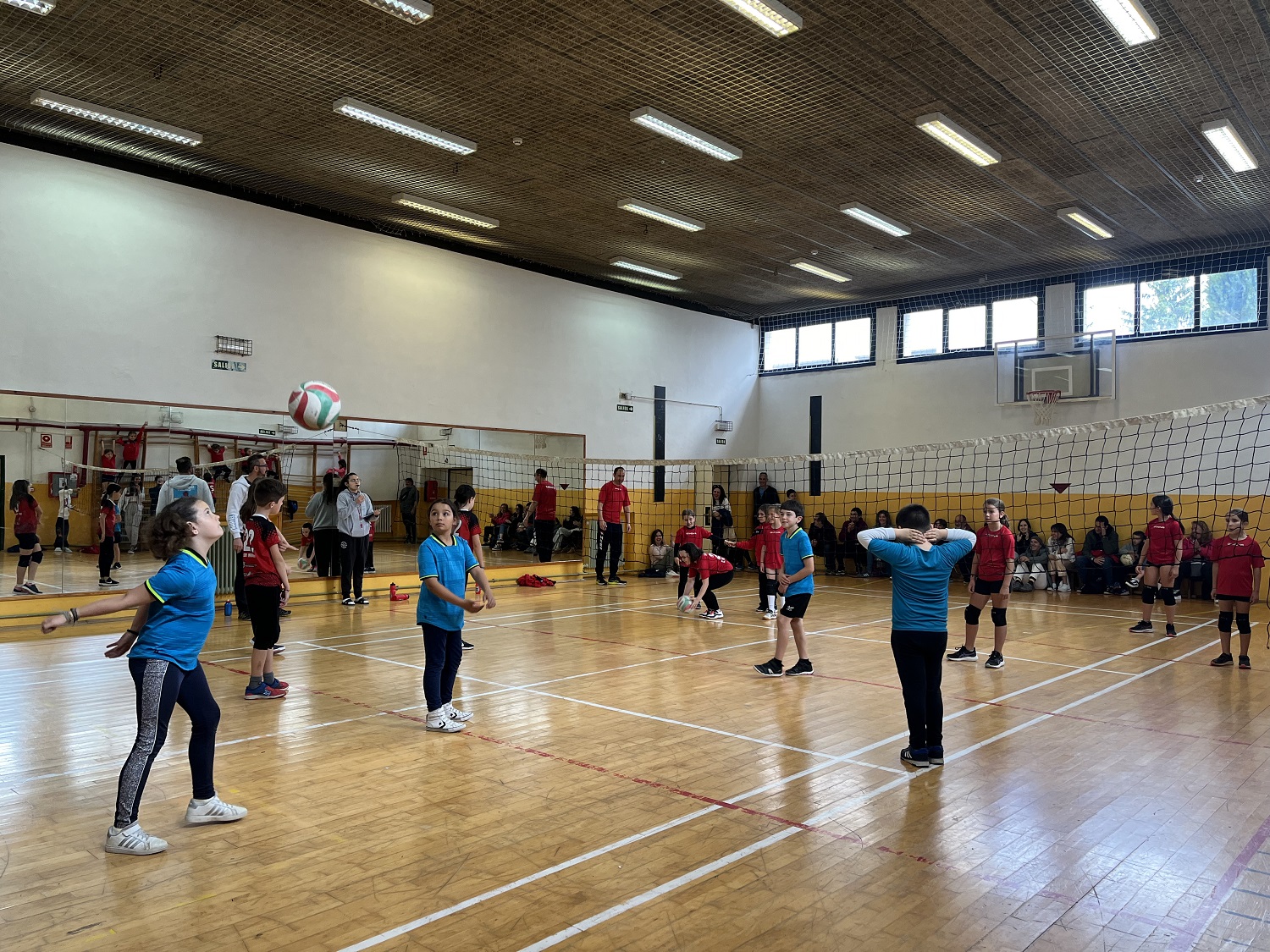 Celebrada la 5ª concentración Minivoley
